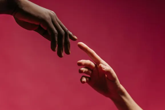 Rex Casino Ondersteuning